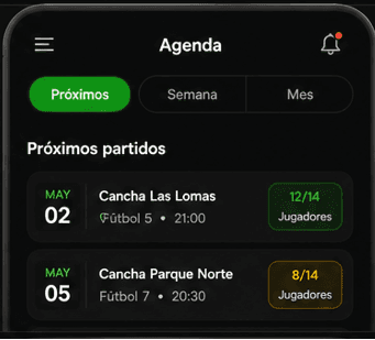 Organización Centralizada